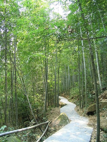 景觀(guān)竹材